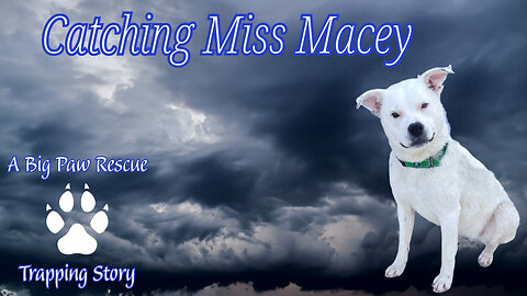 Catching Miss Macey, A Found Footage Special