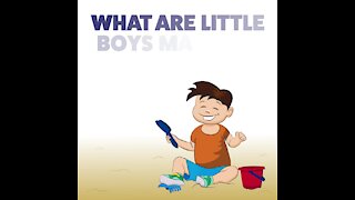 What are little boys made of [GMG Originals]
