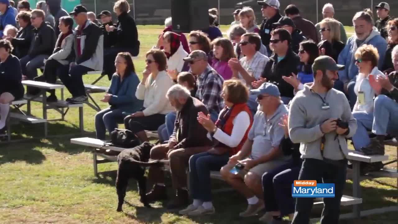 Waterfowl Festival - Easton