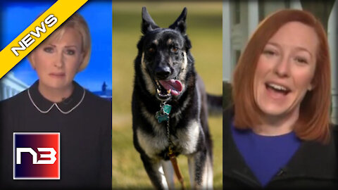 AWKWARD! Jen Psaki Forced to Come Up with Excuse for Biden’s Aggressive Dog Major