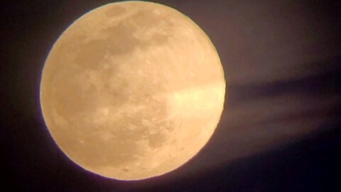 Golden Moon/28 Jan 21