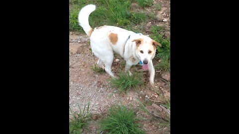 Hike with Captain - new trail at Chickasaw NRA