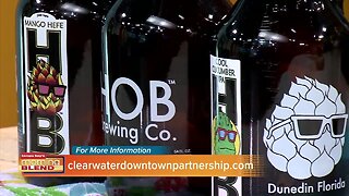 Clearwater Craft Beer Fest | Morning Blend