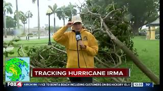 Tree branches down in Fort Myers