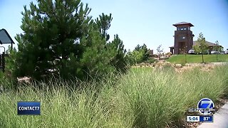 Arvada resident fights against proposed cell tower to go up in middle of neighborhood