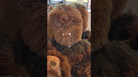 What Did They Do Too Chewie 😳