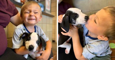 Boy With Cleft Lip Finds A Dog With Same Condition