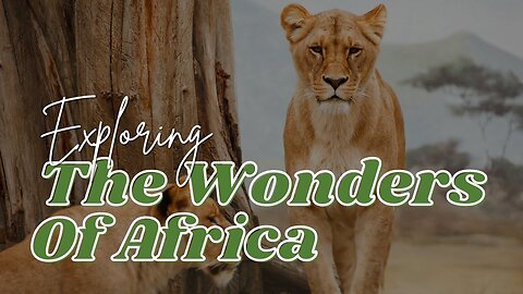 African Jungle Safari ll Wildlife Safari llAfrican Safari