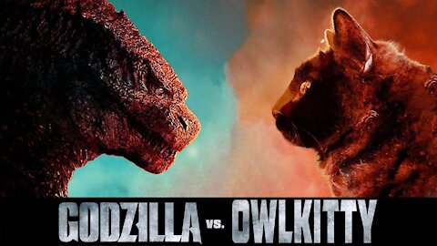 godzilla vs cat