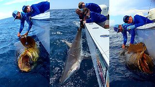 What a catch! Father, son fishing trip nets 2,200 pound catch