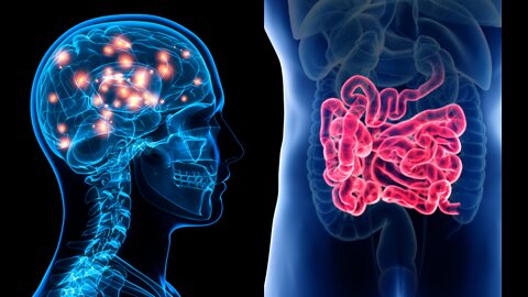 What are the 10 steps for a healthier gut-brain connection?
