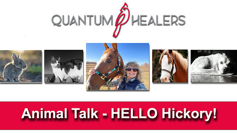 Animal Talk - Hello Hickory!