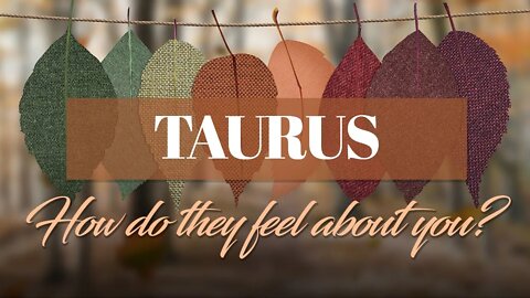 Taurus♉ Get READY TAURUS! Your SOULMATE finally MAKES THE EFFORT to have a renewal of LOVE with YOU!