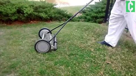 Could this old-fashioned mower save you money?