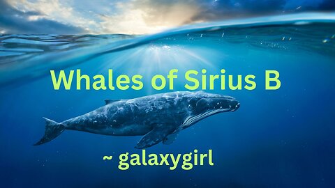 Whales of Sirius B ~ galaxygirl 10/2/2023 (complete)