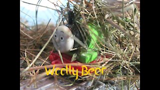 Woolly Bear Remake - UK