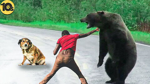 Man Fights off Wild Bear to Save Pet Dog