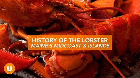 Epic History of Maine Lobster