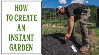 HOW TO CREATE AN INSTANT GARDEN