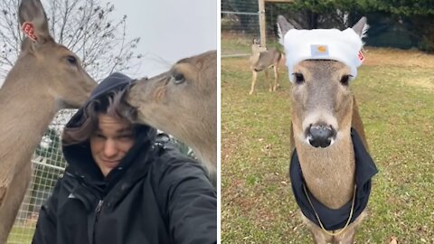 Guy dresses deer as famous TikTok personality