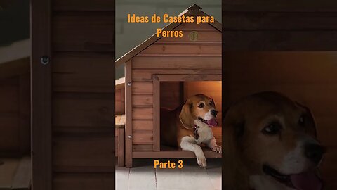 Ideas de Casetas para Perros Parte 3 #casetas #perros #ideas