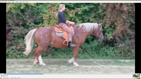 Does This Saddle Fit My Horse? Discussing Saddle Fit On A Video That Was Sent To Me