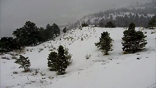 Snow on Lookout Mountain Sunday morning