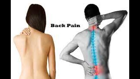 Back Pain Breakthrough Review Dr Steve Young Back Pain Program