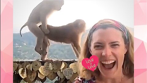 Amazing Love and Funny Moment in The Zoo