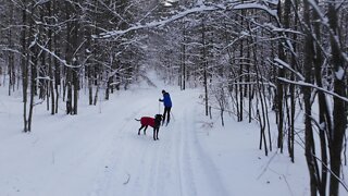 Canadian forest after winter storm is pleasing to the eye and soul