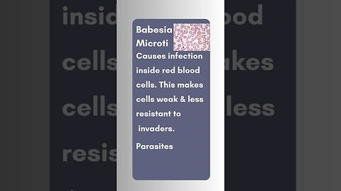 #parasite #lymedisease #health
