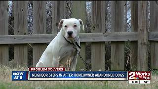 PROBLEM SOLVERS: Chained dogs abandoned for months