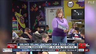 Local siblings celebrate Lemonade Day, giving profits to a good cause