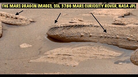 Mars Curiosity Rover Captures Strange Dragon Bones on Mars