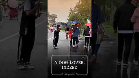 A Dog Lover, Indeed ☺️#shorts #Trending #try not to laugh