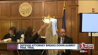 Defense Attorney Breaks Down Aubrey Trail Trial