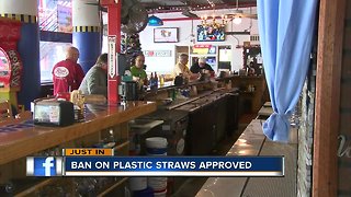 St. Pete City Council votes to ban plastic straws