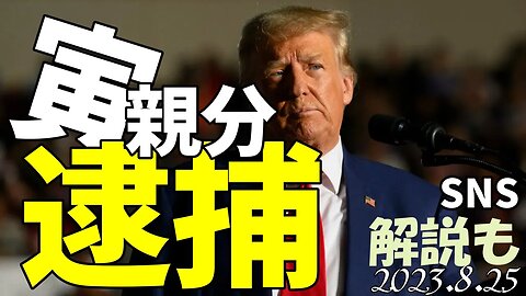 寅親分が逮捕されました [解説もしています]050825