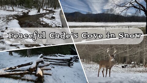 Peaceful Cade's Cove in Winter Snow Great Smoky Mountains National Park