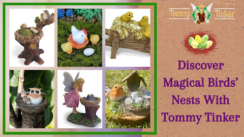 Tommy Tinker | Discover Magical Birds’ Nests With Tommy Tinker | Teelie's Fairy Garden