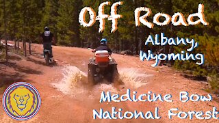 Off Road Trails in Albany, Wyoming | Medicine Bow National Forest
