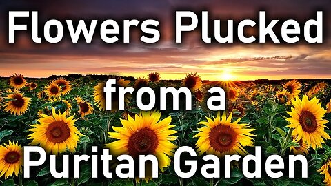 Flowers Plucked from a Puritan Garden - Puritan John Arrowsmith