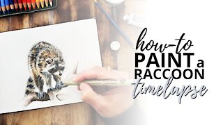 How to Draw a Raccoon