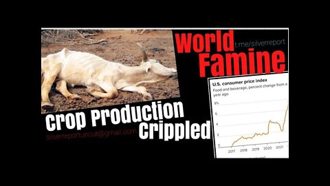 Is A Global Famine Already Here? How Did We Get Here? Some Of The Worlds Largest Producers Offline