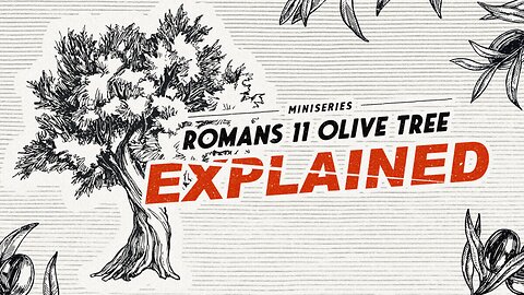 Romans 11 Explained