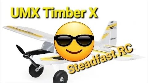 Working on my Aerobatics ( Eflight umx timber x )