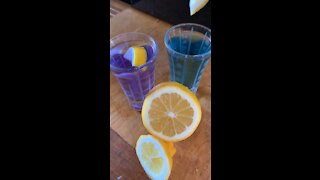 Magic Butterfly Tea Turns Purple with Lemon