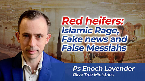 Red heifers: Islamic Rage, Fake news and False Messiahs