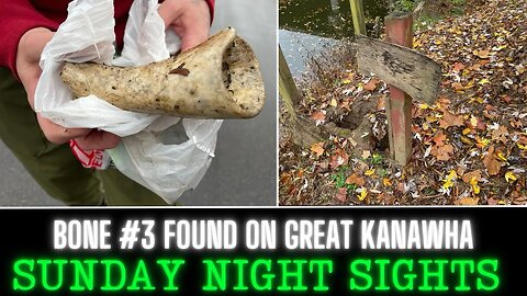 Sawed-Off Bone Beside Great Kanawha River?