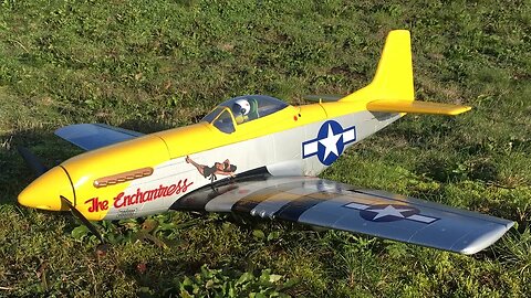 FlightLine P-51 Mustang 850mm RC Warbird With RECKEM ROYS RC